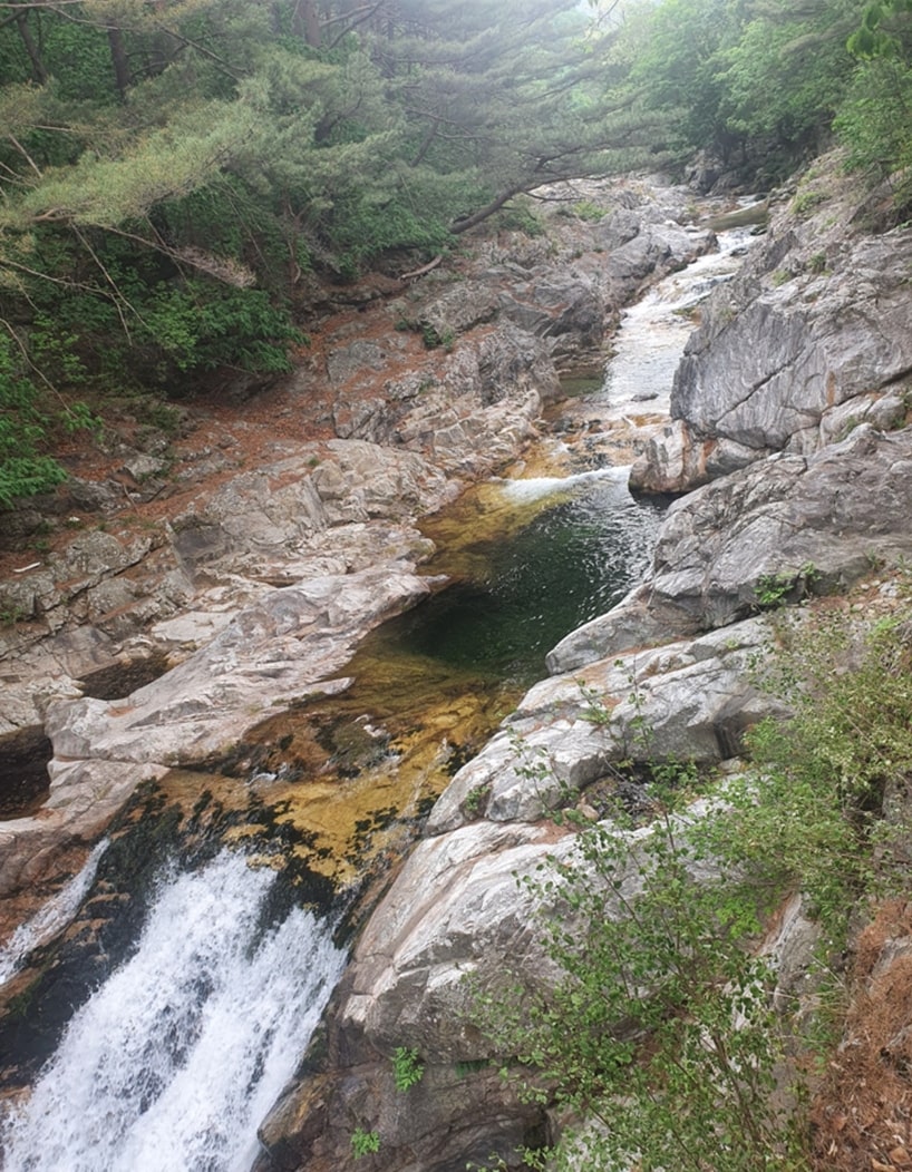 Arrowroot Waterfall